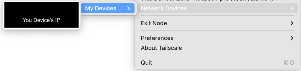 Tailscale Device